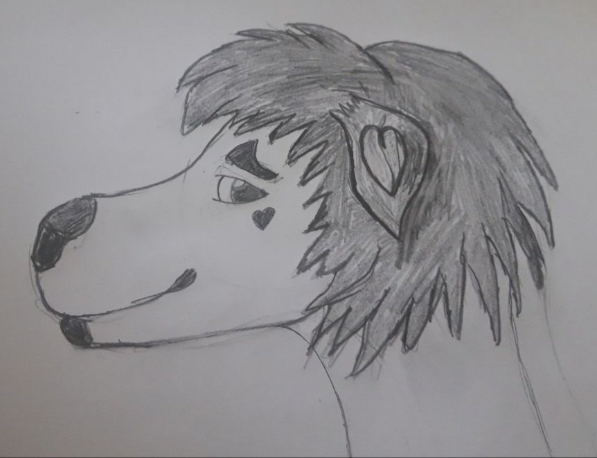 Rayntheotter's tweet photo. I don't draw often (enough) but I really love how this one turned out.
Character (c) @Cr0wteeths Finch https://t.co/2jzYXcTyEB
