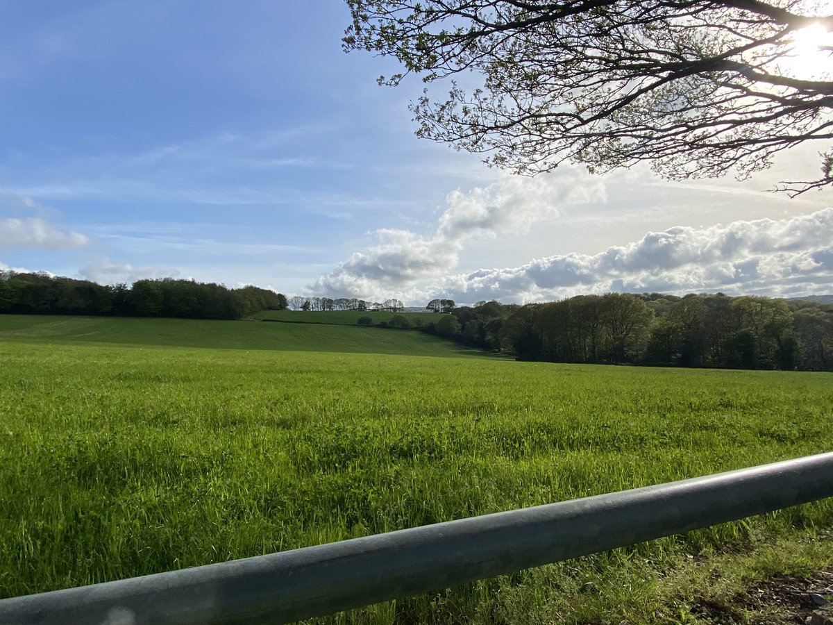 KjChance3's tweet photo. Scenes from a sunnier spring day on Sunday with my first cycle to work in Cornwall. 😊 @CornwallLive #Cornwall 
#CornishWay #cyclinglife https://t.co/nUwayCefjb