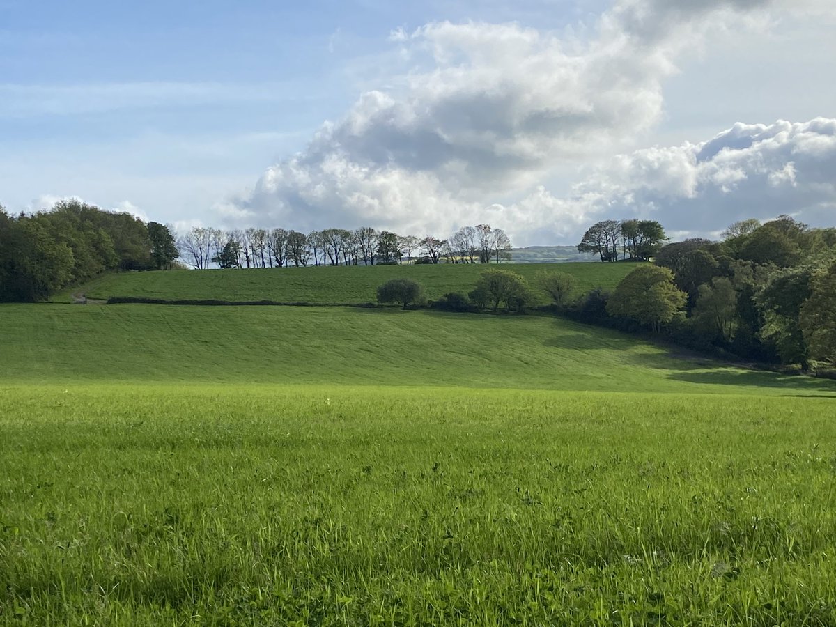KjChance3's tweet photo. Scenes from a sunnier spring day on Sunday with my first cycle to work in Cornwall. 😊 @CornwallLive #Cornwall 
#CornishWay #cyclinglife https://t.co/nUwayCefjb