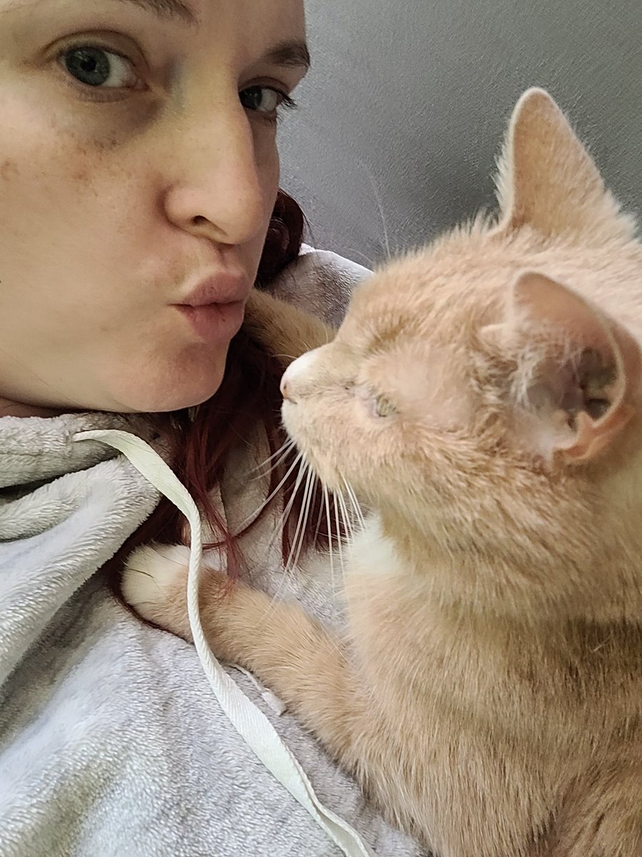 caffeinatedcatz's tweet photo. RIP Tiger. He passed away last night. Loved him then, love him now and will love him furrever. ❤️ 😔 #rainbowbridge #brokenheart https://t.co/Eism4A9kdJ