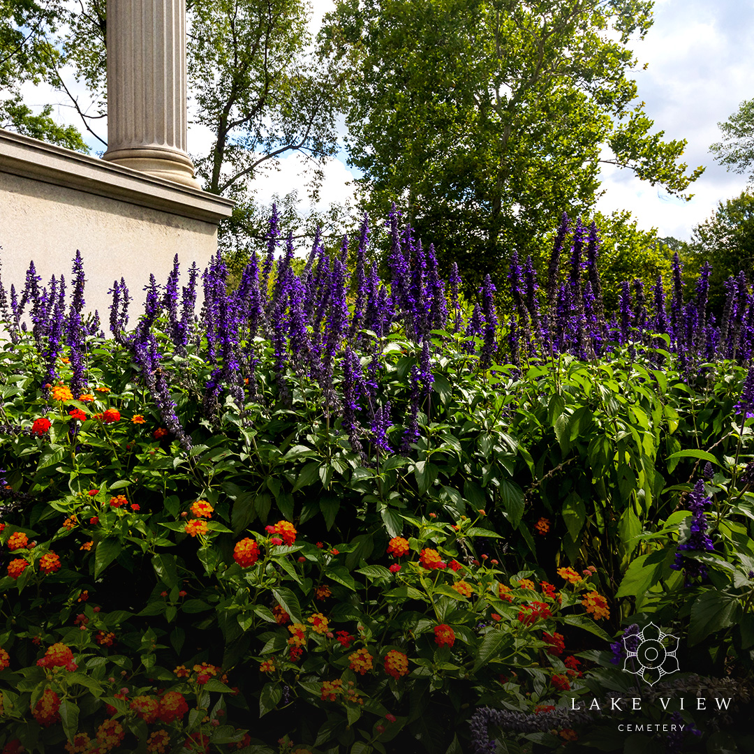 Lake View Cemetery tweet media