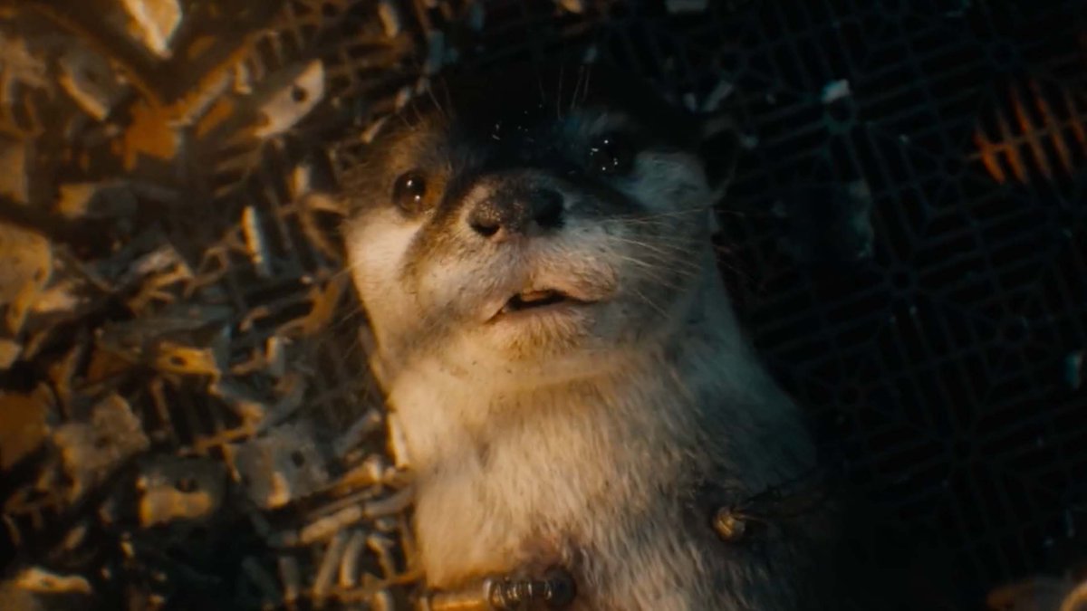 theinfinitypod1's tweet photo. It’s good to have friends this week: @OGScottieT and @IAMRachelQuirky break down James Gunn’s stunning GUARDIANS OF THE GALAXY, VOL 3, going deep on Chukwudi Iwuji’s genius, comic book cinema’s toxic dating tendencies, and whether GOTG3 is the first Marvel movie for adults https://t.co/CMKCVdK6hC