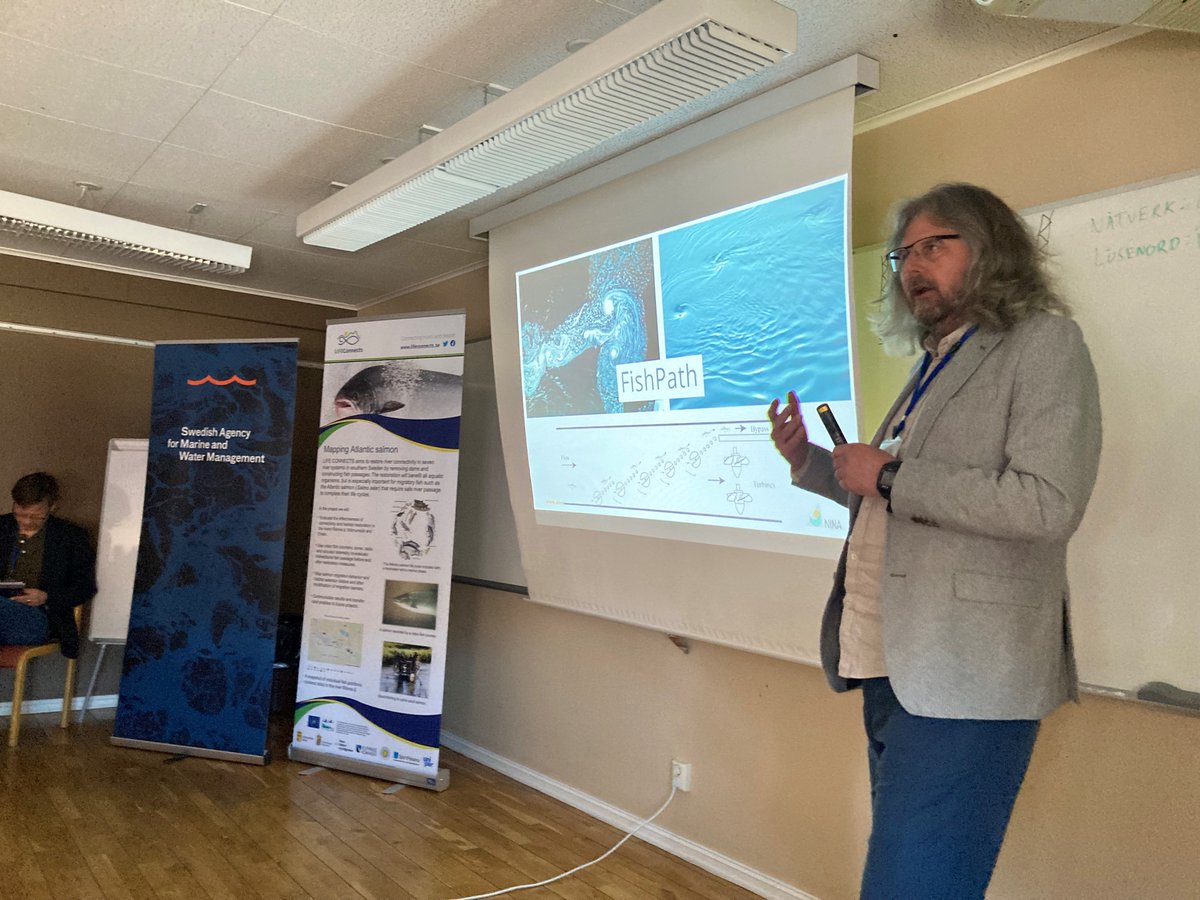 Torbjörn Forseth, Naturinstitutet NINA, redogör för norska erfarenheter kring #fiskvandring i reglerade #vattendrag på LIFE Connects internationella konferens i Klippans kommun. <a href="/life_connects/">LIFE CONNECTS</a>