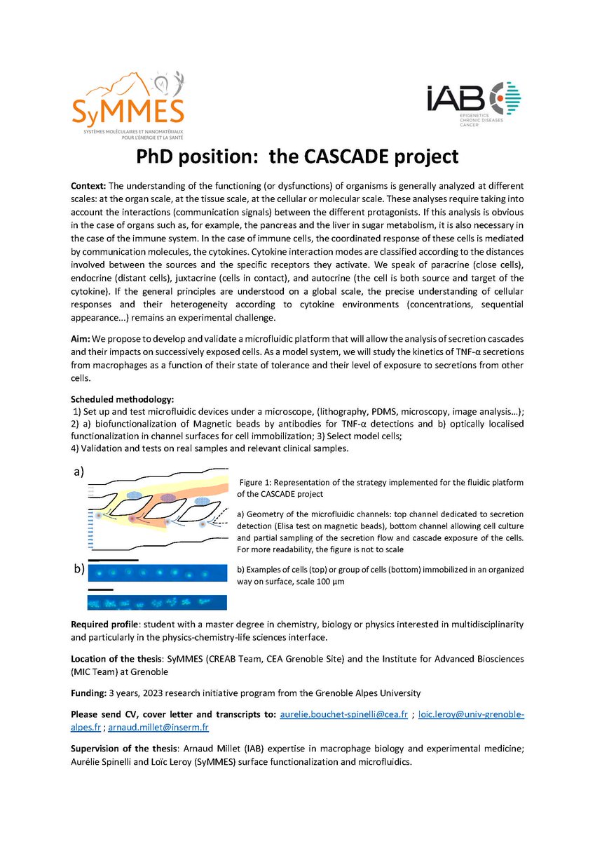 📢| We are offering an exciting 3-years #PhDposition

We propose to develop and validate a microfluidic platform that will allow the analysis of secretion cascades and their impacts on successively exposed cells.
Location: SyMMES and the IAB at Grenoble 🏔️
Join us! 👇