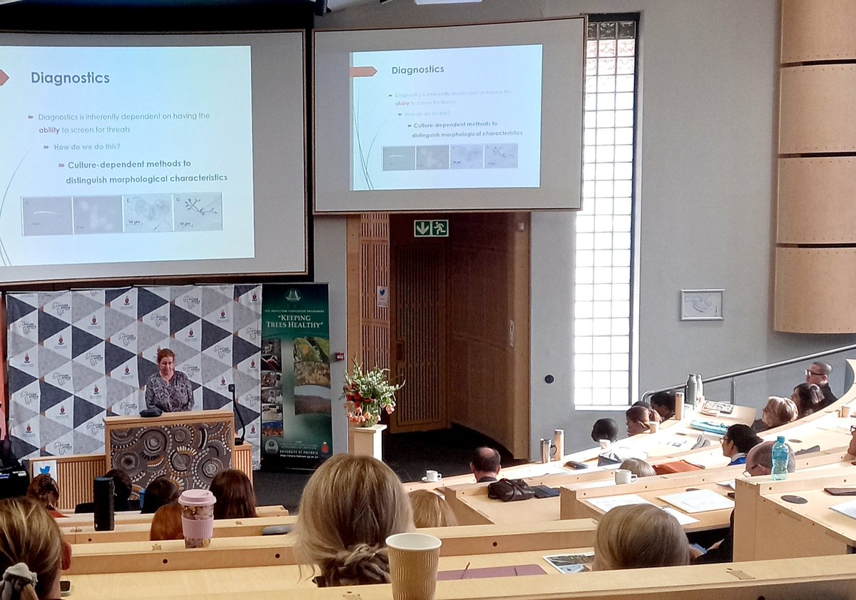 NickyCreux's tweet photo. Dr Lieschen de Vos tells us about developing novel diagnostic tools and lessons that can be shared between agricultural and Forestry industries. #CPHB23 @Fabiteam1 @UPnasagric https://t.co/PpaoGtjH45