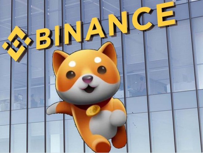 BabyDogenews_'s tweet photo. Hey @binance when #BabyDoge ??? https://t.co/qeY3a1xQVl