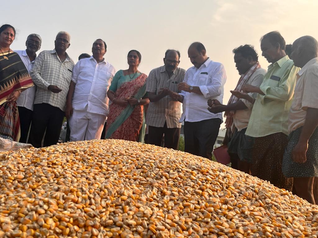 KPSMLA's tweet photo. ఇటీవల కురిసిన అకాల వర్షాల కారణంగా నియోజకవర్గంలోని పసుపు, వరి, మొక్కజొన్న, జొన్న రైతులు తీవ్రంగా నష్టపోయారు. నష్టపోయిన రైతులతో నేరుగా మాట్లాడేందుకు అధికారులతో కలిసి నియోజకవర్గంలోని కంకిపాడు, పెనమలూరు మండలాల్లో పర్యటించాము, రైతుల సమస్యలను అడిగి తెలుసుకున్నాను.

#ysrcp https://t.co/UU2bF4VsEX