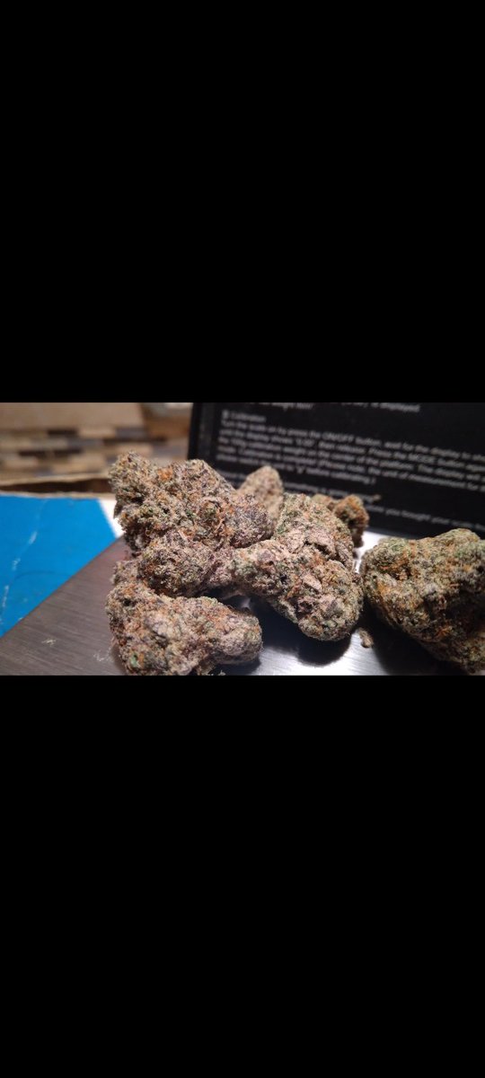 Floatin101's tweet photo. Today's strain review is Alaskan Thunder Fuck. A.T.F is ok! 1st hit a citrus herbal spicy pungent aroma an flavor hold you down like #Onana in goal. Headhigh has a clear focus feel very good for music too. The bodyhigh creeps with a very mellow vibe #Mmemberville #Marijuana #Weed https://t.co/GPKRXGEt91