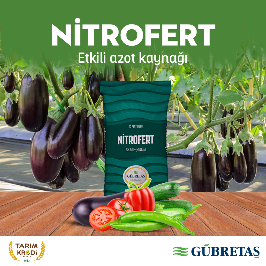 gbrfab's tweet photo. Nitrofert bitkinin azottan daha hızlı faydalanmasını sağlayarak üstün kaliteli ürün hasadı elde etmenize olanak tanır.
#Gübretaş #Nitrofert https://t.co/9PHEQdTNfr