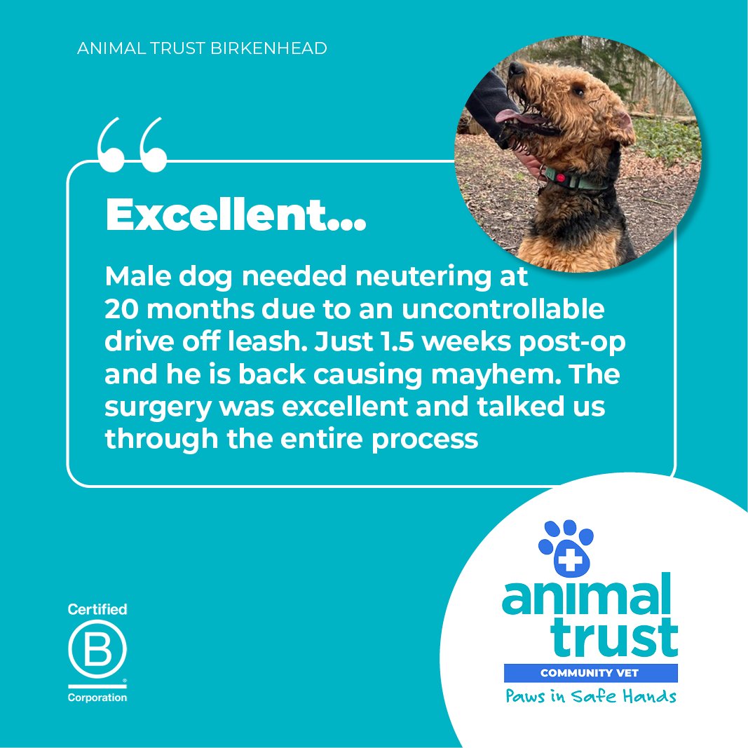 Animal Trust Vets tweet media