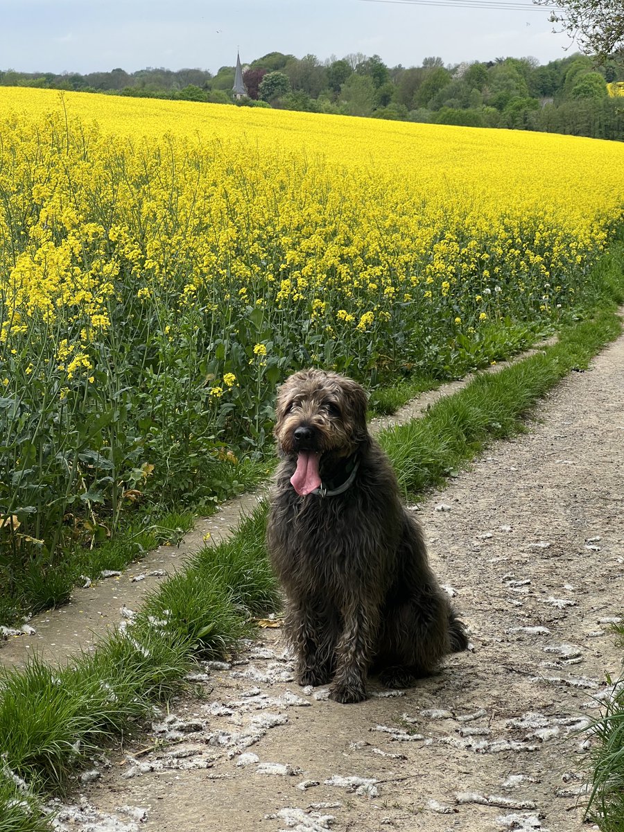 Gucken Sie weg, hier gibt es nix zu sehen!🐾