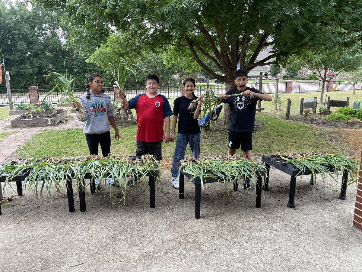 Martha Brown tweet media