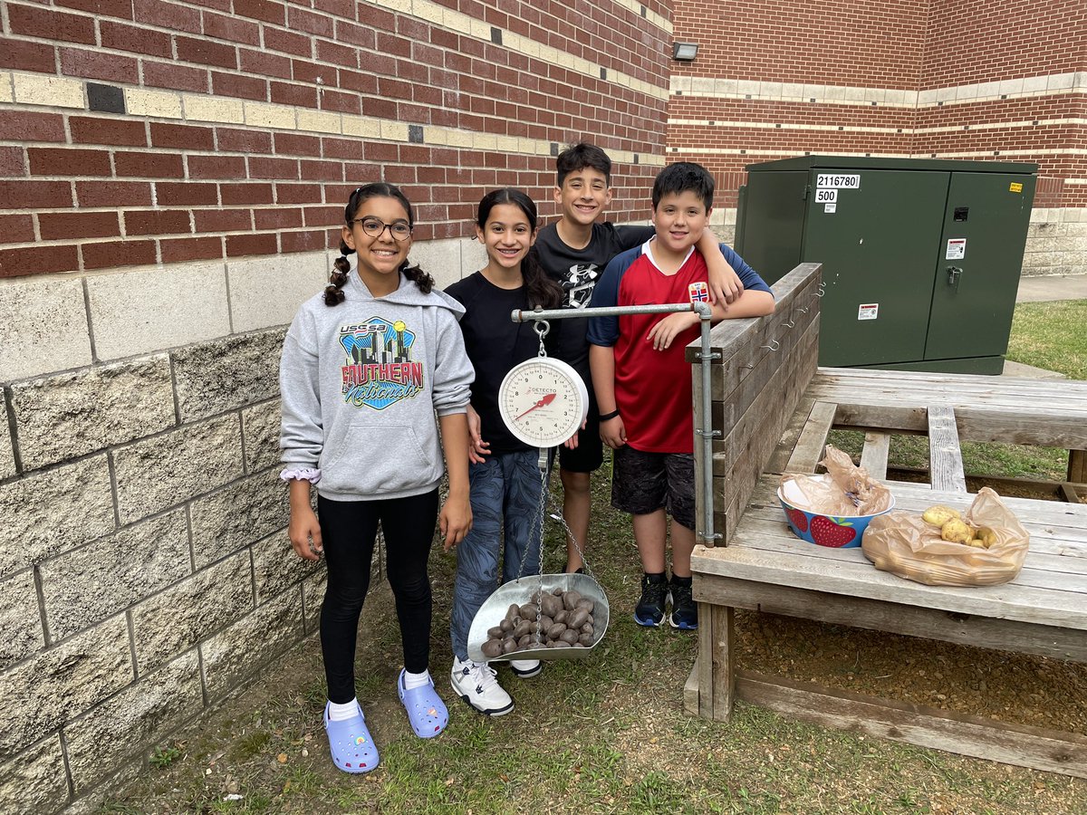 Martha Brown tweet media