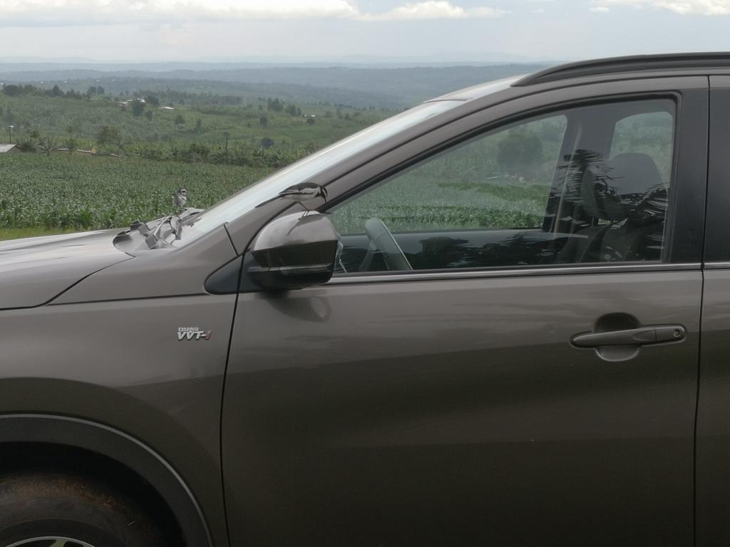 Country of peace <a href="/visitrwanda_now/">Visit Rwanda</a>, @ birds are feeling that <a href="/NyagatareDistr/">Nyagatare District</a> @gikoba