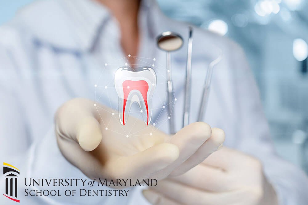 umdentistry's tweet photo. May is a big month for #dentists and #endodontists - it's #SaveYourToothMonth, this week is #RootCanalAwarenessWeek, and today is #RootCanalAppreciationDay! Learn more about our #Endodontics Clinic: https://t.co/E66plSIv2q.
@savingyourteeth #SYTM2023 #rootcanal #dentalschool https://t.co/NDzDCSiTyJ