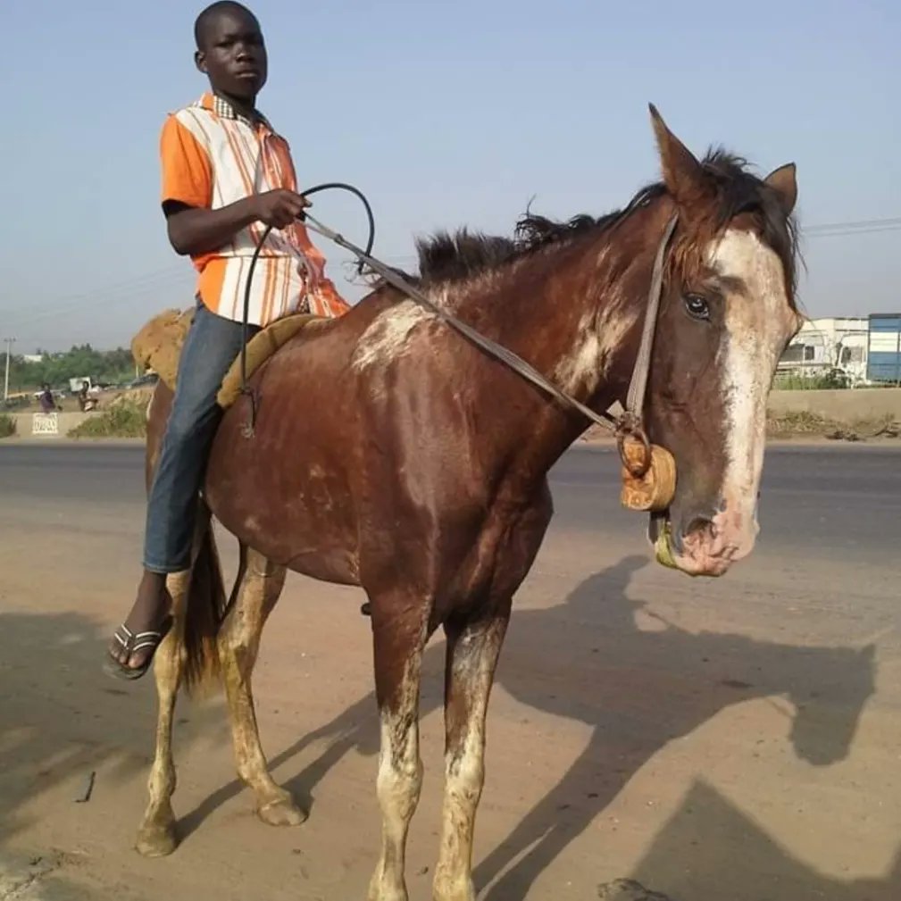 OBAROAKPO69's tweet photo. Yesterday 8 years ago, I was already on day 2 running π from Lagos-Okpekpe-Abuja which took me 22 days and throughout the 22 days, I did not use any form of motorized transport. #Worldwrapperman #WR #Longestwrapperintheworld #CharityRunner #Runningforacause #HungerHero https://t.co/YpcL6m7LIx