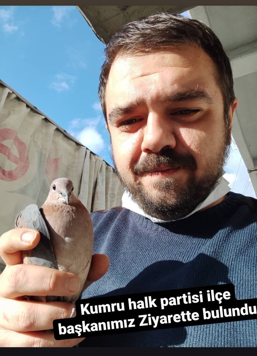 pofduhkk's tweet photo. Anlık Twitter Timeline bu şekilde https://t.co/Jw4pLiULab
