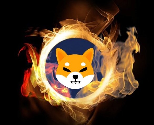 SHIBpossessor's tweet photo. Who believes $SHIB can change your life!! https://t.co/9z1bWXikDa