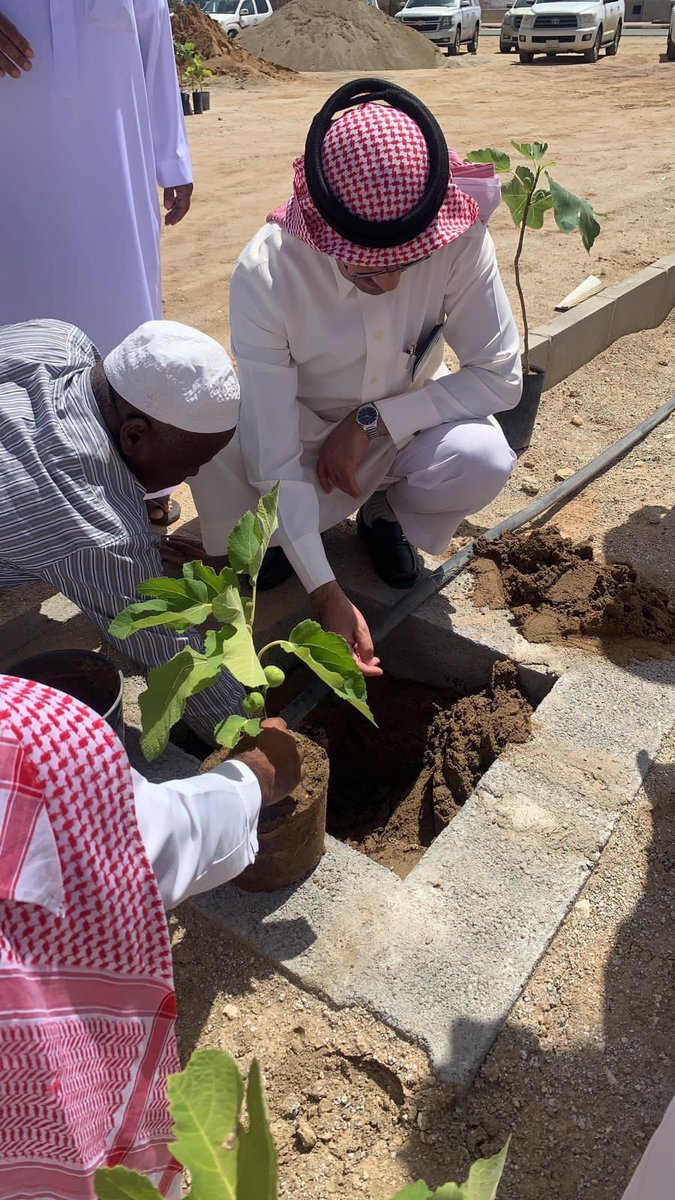 🌳رابطة طريب الخضراء 🌳 tweet media