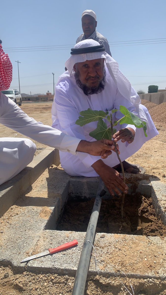 بحضور محافظ طريب الاستاذ/ محمد ابن سعيد ابن عامر 
قامت رابطة طريب الخضراء  بتشجير هذا اليوم مسجد مخطط آل ناشط بدعم من رجل الإعمال عبيد بن سعيد آل جمعان .وهي احد مبادرة تشجير  الساحات المحيطة بالمساجد في محافظة طريب .
وتهدف المبادرة إلى إشراك الأهالي للإساهم في تحسين المشهد الحضري