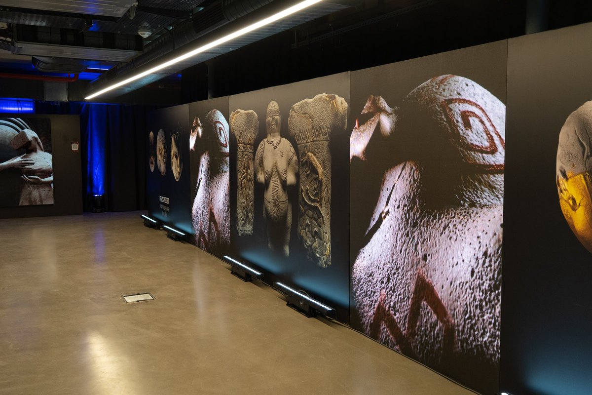 NeoOrigin tweet media