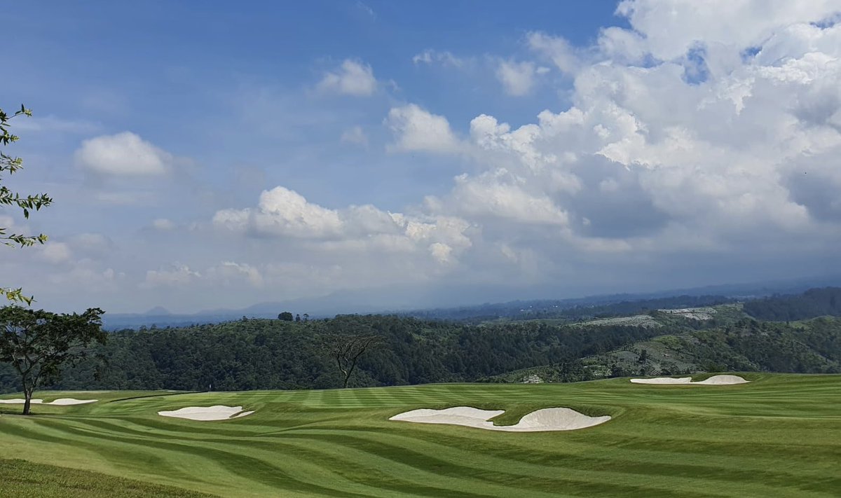 Ernie Els Design & Hospitality tweet media