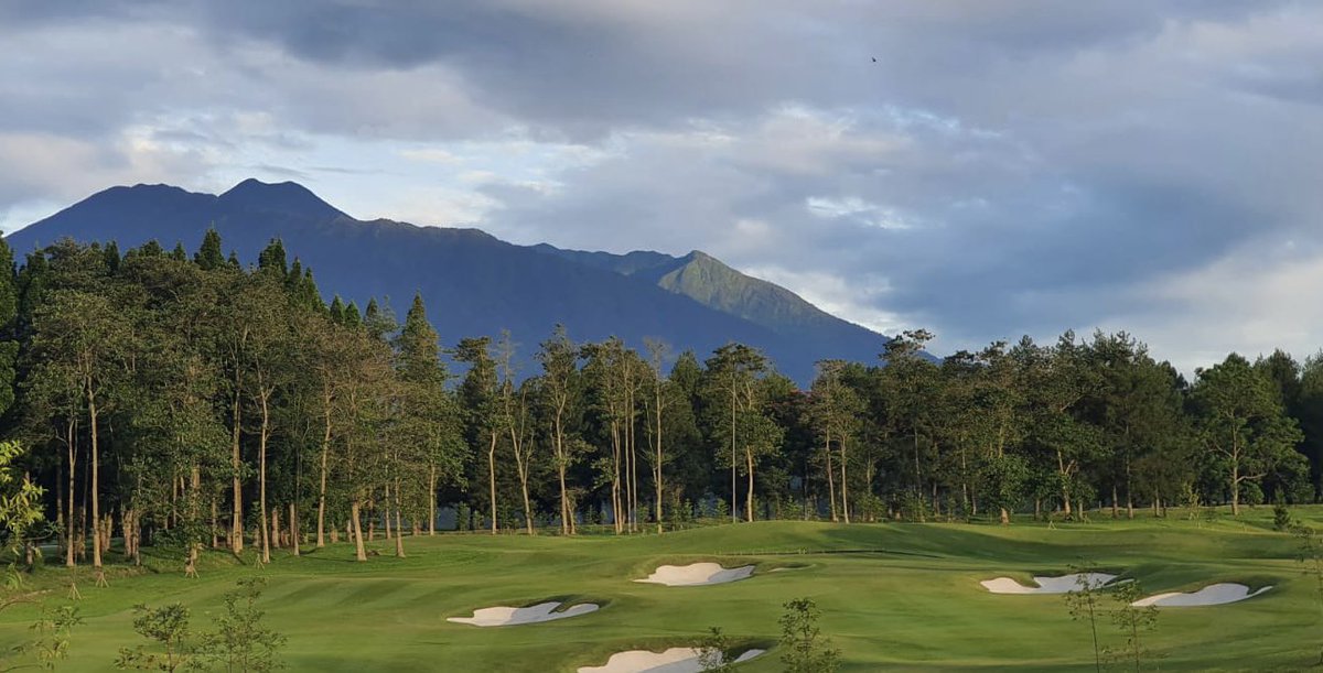 Ernie Els Design & Hospitality tweet media