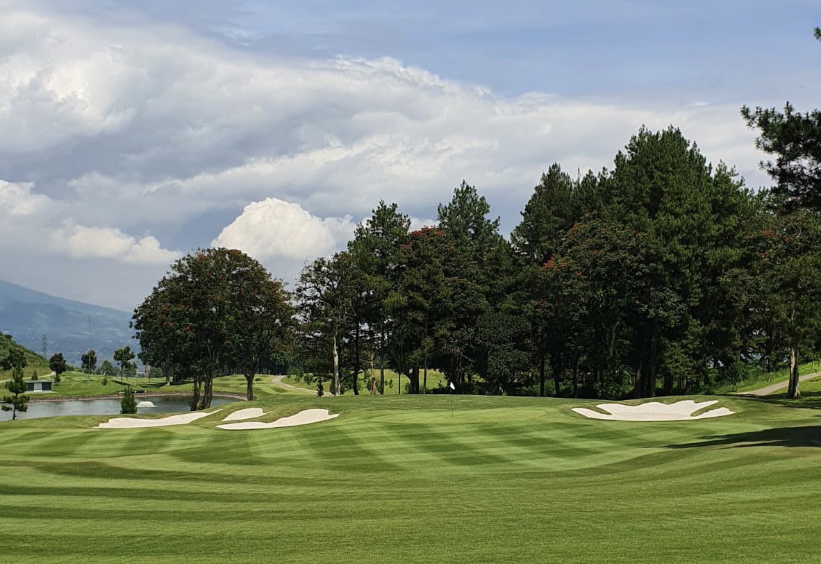 Ernie Els Design & Hospitality tweet media