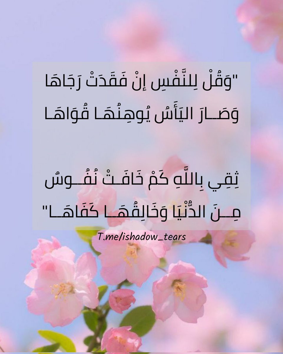 ishadow_fawaed's tweet photo. ‌"وَقُلْ لِلنَّفْسِ إنْ فَقَدَتْ رَجَاهَا
وَصَــارَ اليَأَسُ يُوهِنُهَـا قُوَاهَـا

ثِقِي بِاللَّهِ كَمْ خَافَـتْ نُفُــوسٌ
مِــنَ الدُّنْيَا وَخَالِقُهَــا كَفَاهَــا"

https://t.co/ytWn1KPidh https://t.co/3OXxQBX7zg