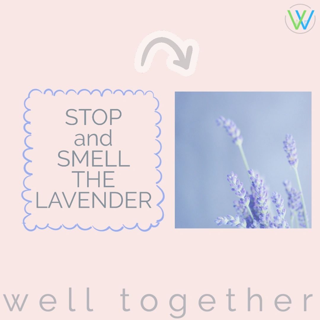 WellTogether1's tweet photo. Appreciation! It's important to stop and smell the lavender ;) #lavendermartinis #lavenderpillows #lavender #appreciation #notice #recognize #giving #community #lifecoach #wearewelltogether #welltogether #dailysip https://t.co/hHq569SnCC