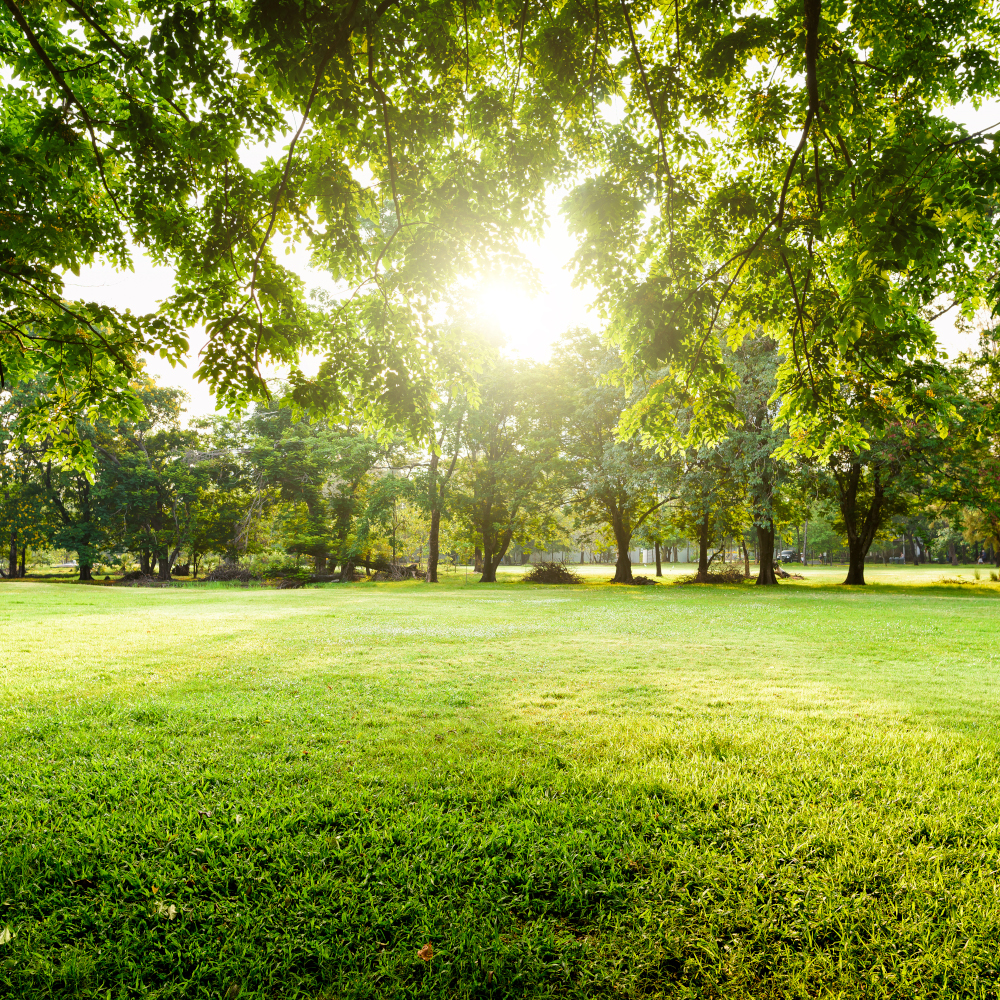 HearingSysTX's tweet photo. Feeling low on energy or out of balance? Hearing loss might be why you’re not getting the most out of this year’s outdoor adventures. Hearing aids can help you better enjoy the rest of your spring. #Hearing #HearingAids https://t.co/Vdx9WViykm