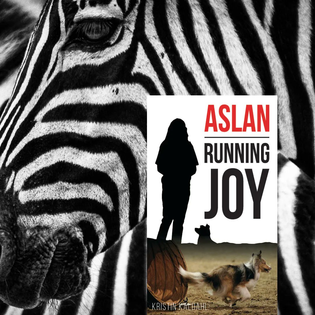 Sheltiebeast's tweet photo. Order your's today! Aslan: Running Joy  #dogagility #dogsports #underdogs #dogstory https://t.co/3fUec7aVnS
