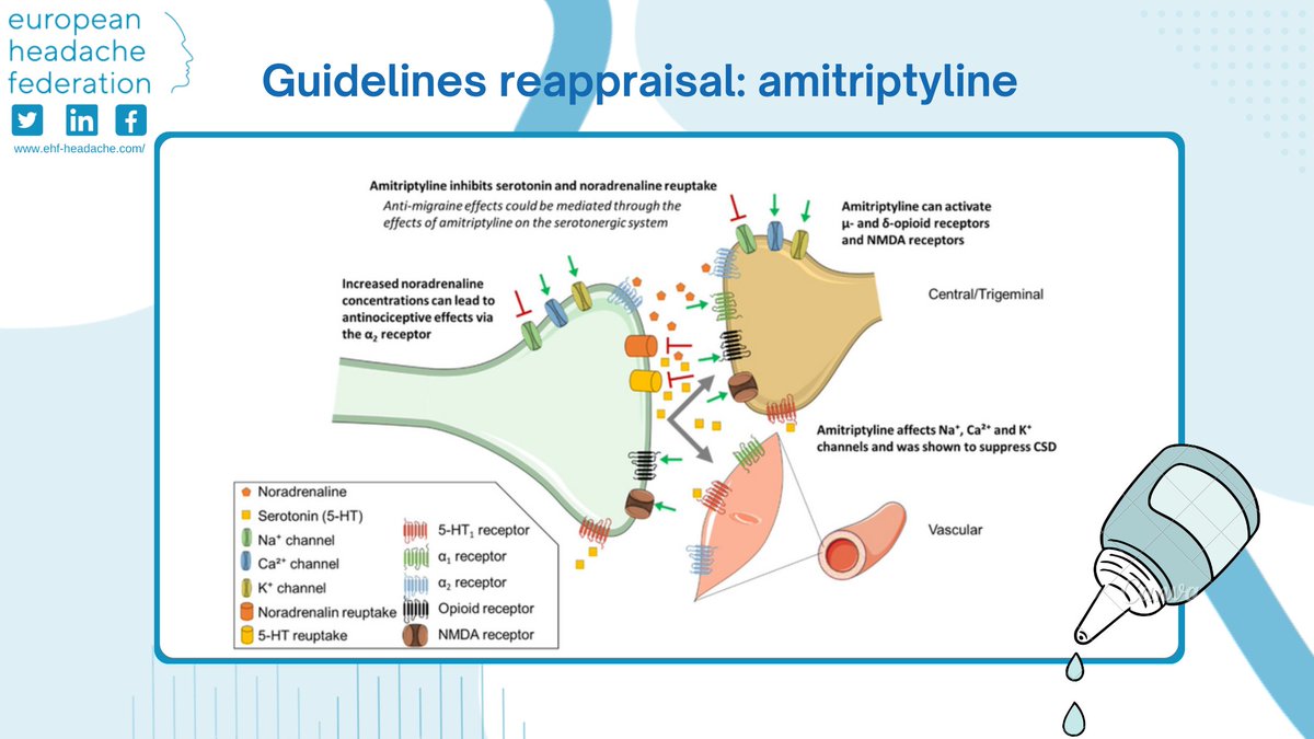 European Headache Federation (@ehf_official) on Twitter photo According to this EHF review and metanalysis, #amitriptyline increases proportion of patients with โฅ50% MMDs reduction. Evidence is poor to mandatorily consider it a first-line drug. <a href="/Simona_Sacco_/">Simona Sacco</a> <a href="/UweReuter3/">Uwe Reuter</a> <a href="/drfa_CPH/">Faisal Mohammad Amin</a> <a href="/msanchezdelrio/">Dra. Sanchez del Rio</a>
Read more: bit.ly/3VyNPvv According to this EHF review and metanalysis, #amitriptyline increases proportion of patients with โฅ50% MMDs reduction. Evidence is poor to mandatorily consider it a first-line drug. <a href="/Simona_Sacco_/">Simona Sacco</a> <a href="/UweReuter3/">Uwe Reuter</a> <a href="/drfa_CPH/">Faisal Mohammad Amin</a> <a href="/msanchezdelrio/">Dra. Sanchez del Rio</a>
Read more: bit.ly/3VyNPvv