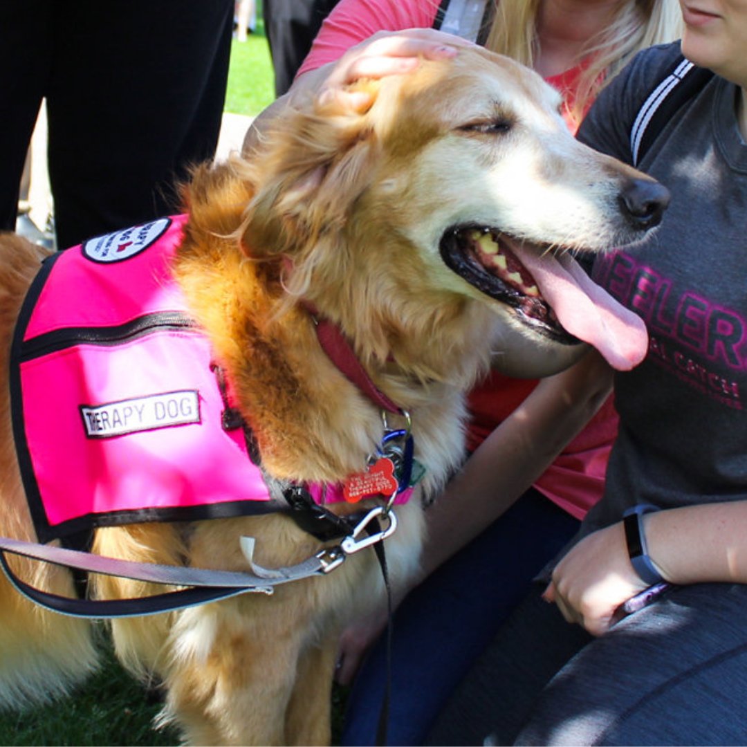 TODAY the library will be open 24 hours till May 16 at 11p and from 12-3p start studying and finals off right with Therapy Dogs & KNOW MORE Snacks Table! 
#knowmore #daretocare #therapydogs #finals #shulibraries #setonhall