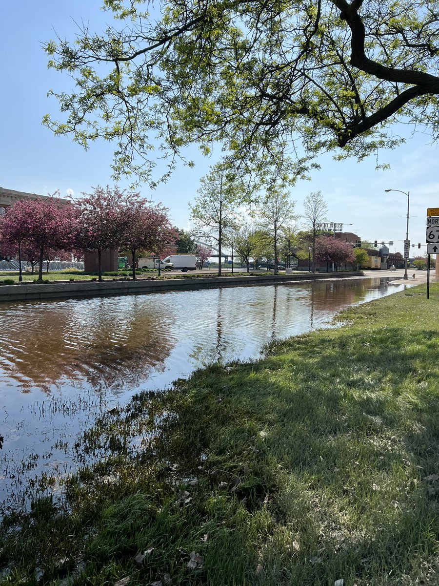 Flooded streets of Davenport & the trees blooming. Seems like the beginnings of #spring & #SummerVibes