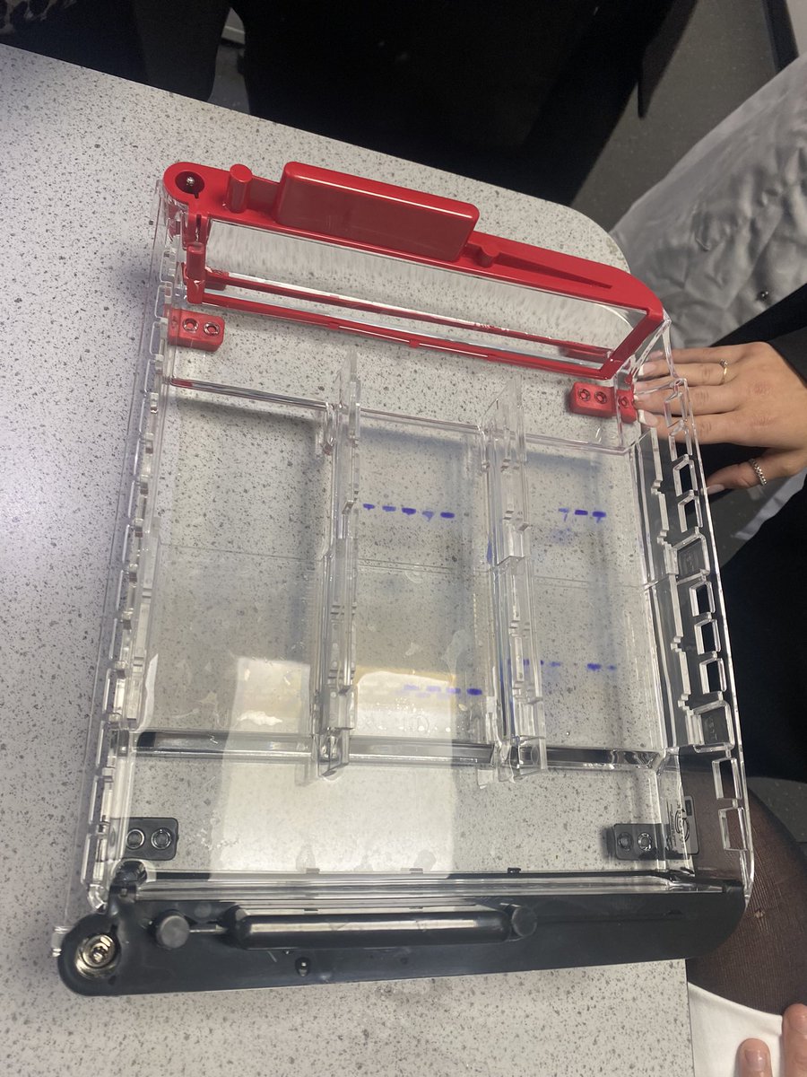 TrentBio's tweet photo. Genetic fingerprinting as a treat for  Yr13! Our last ever practical! @TrentCollege https://t.co/hVVFOEvvRx