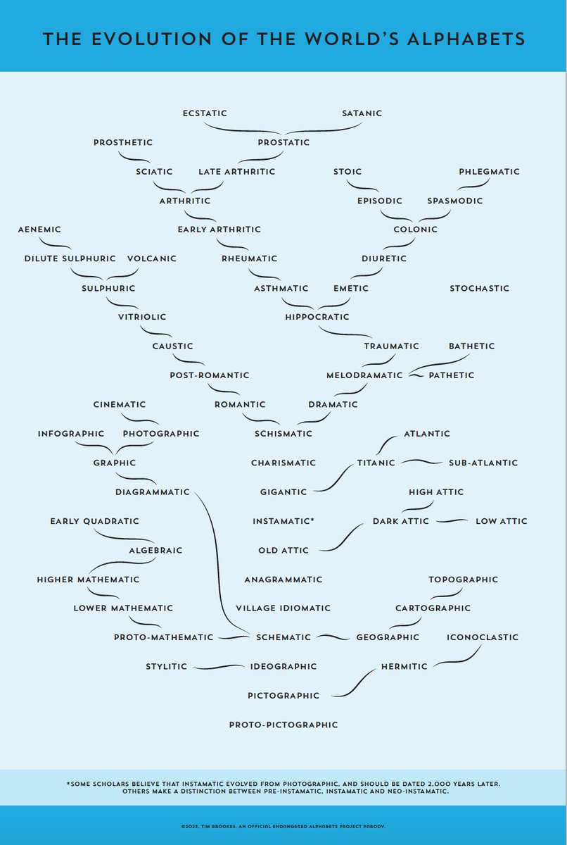 Tim Brookes tweet media