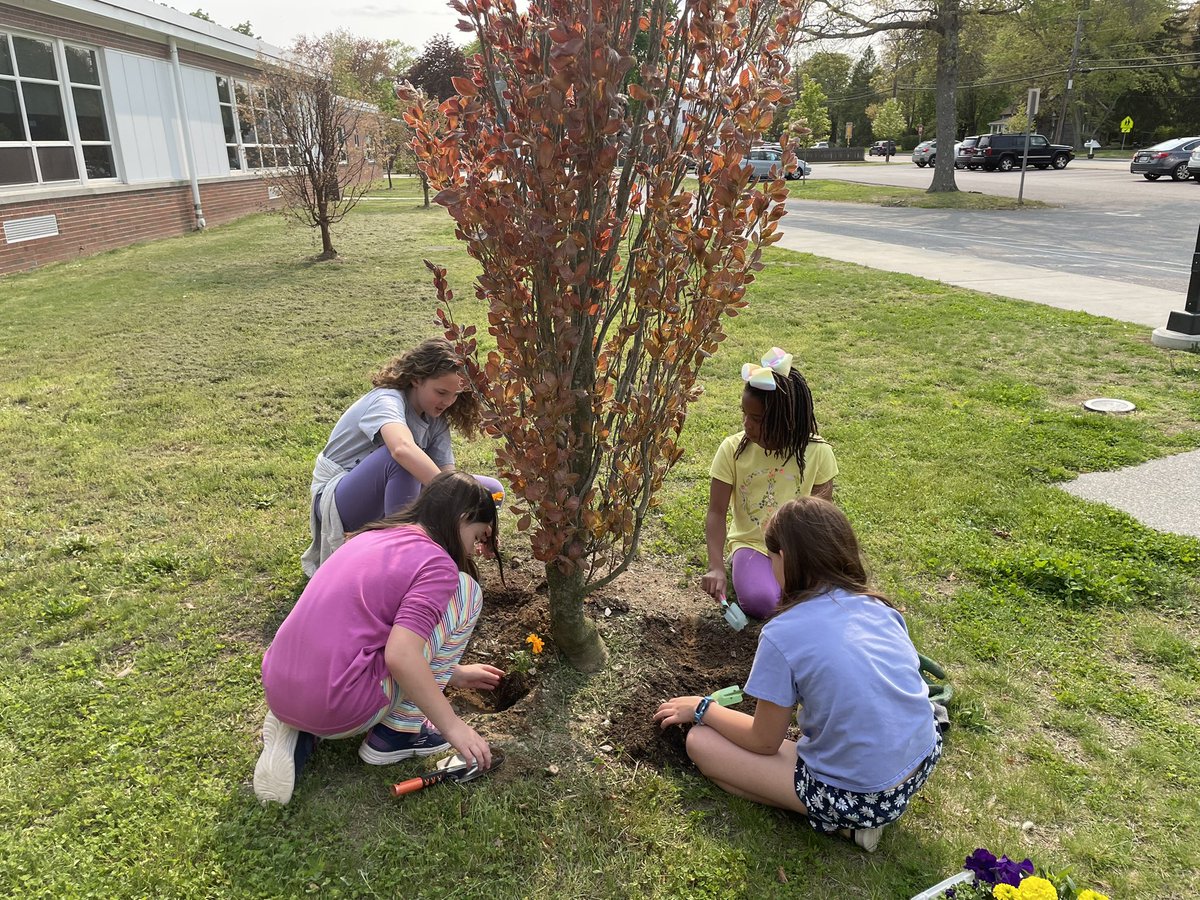 Marybeth Callanan tweet media