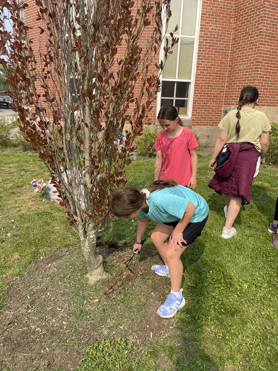 Marybeth Callanan tweet media