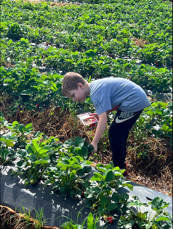 Summit K-8 Virtual Academy tweet media