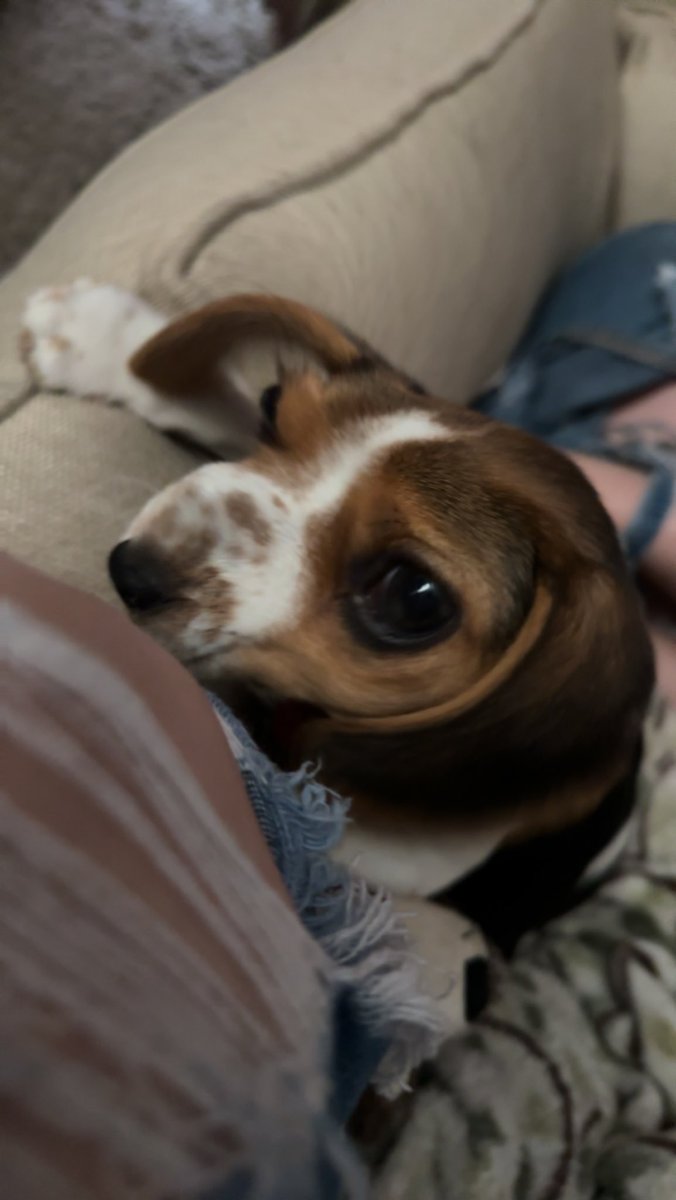 _starwalker's tweet image. She is beauty, she is grace.