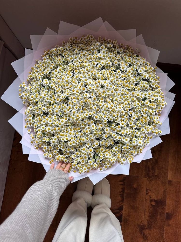 @ahingrn3 (@ahingren3) on Twitter photo 