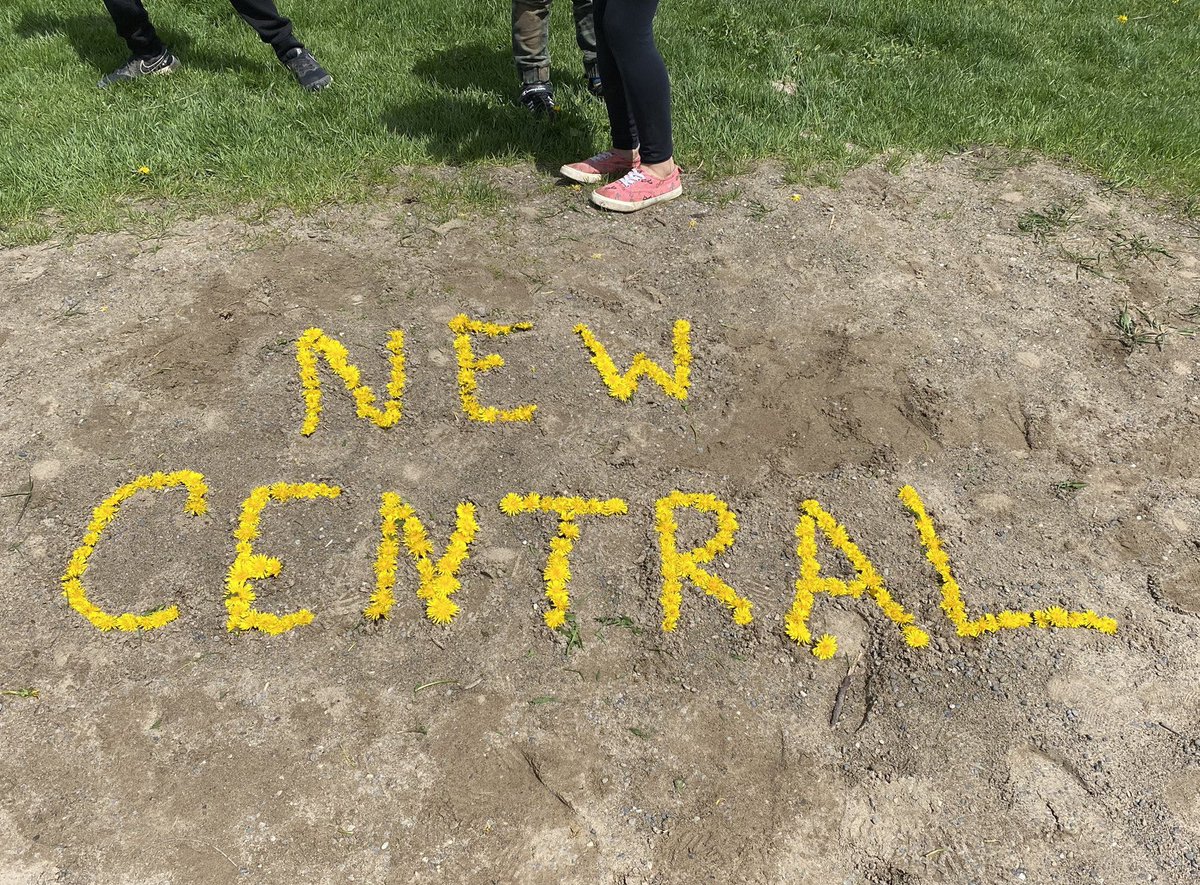 tennisnut222's tweet photo. It’s another exciting day @newcentralps with our Super Scientist judging to take place soon. Students created environmentally sustainable homes for planet Ricetron (named after Principal Rice).  Looking forward to parents and caregiver coming from 3-4 pm as well. @HaltonDSB https://t.co/O0PnCJyCOo