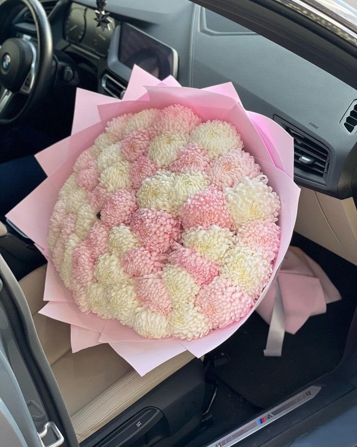 @ahingrn3 (@ahingren3) on Twitter photo 