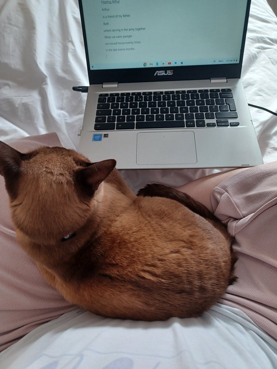 FictionDescript's tweet image. Afternoon readers &amp;amp; writers.💖

I've had my beloved pet helping me today with creative writing, the wonderful Coco.😻 I'm back on the blogs &amp;amp; the YouTube channels now that I'm back from holiday.😅 

#springholiday
#creativewriting 
#animallovers 
#readinglovers 
#writinglovers