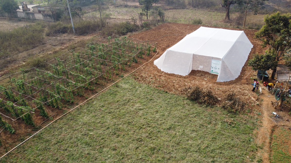 Dist_Kendujhar's tweet photo. Farmers in Keonjhar district are benefiting from initiatives under Agriculture Production Cluster, funded under #DMFKeonjhar

Smt. Minati Munda has successfully cultivated Cow Pea &amp; Coriander in a 'Protected Poly House' on 0.1 Ac land. Estimated additional income is ₹50,000 p.a. https://t.co/LeOfG45pV8