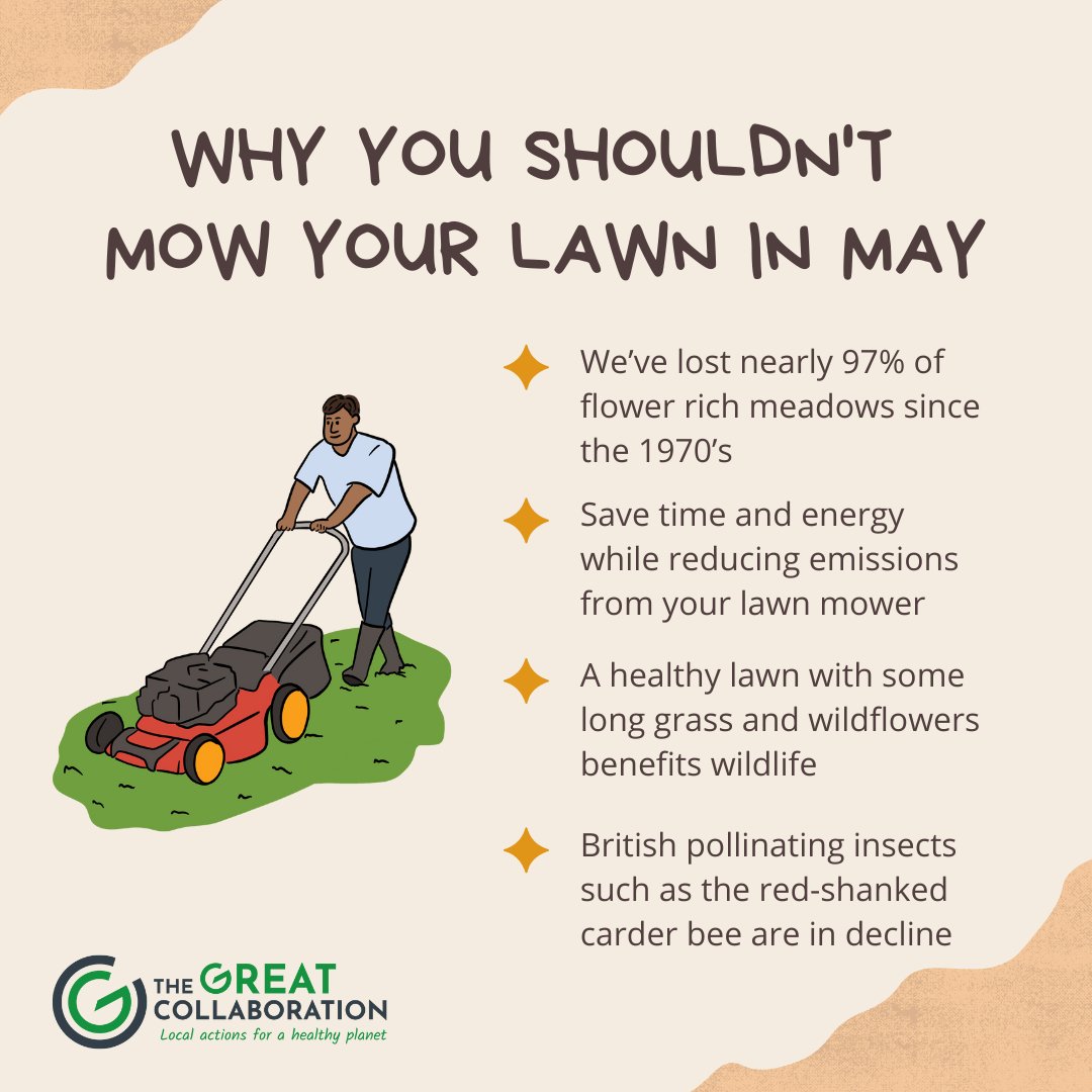 TheGreatCollab1's tweet photo. May is important for biodiversity 🌱

Many wildflowers bloom, providing essential habitats for local wildlife. Avoid mowing your lawn to create a safe environment for pollinators and insects. 

Visit https://t.co/RZfaAVvdoS for more tips. 

#sustainability #biodiversity #nomowmay https://t.co/4zTWszXRAW