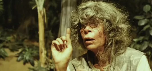 Dias de Cinefilia tweet media