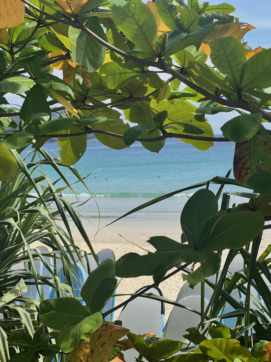 rachedelight's tweet photo. Phuket https://t.co/5H25KOAseT
