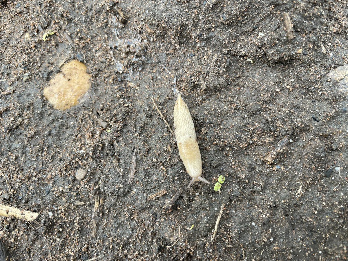 Produce Solutions tweet media